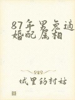 87年男兔适合婚配属相