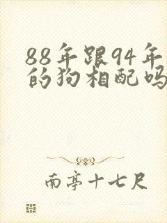 88年跟94年的狗相配吗?
