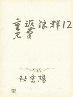 重返狼群12集免费