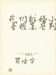 我们离婚小孩抚养权怎么判封面