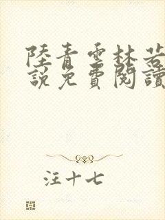 陆青云林若岚小说免费阅读