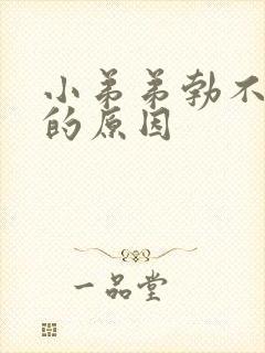 小弟弟勃不起来的原因