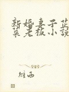 新婚妻子芷岚和菜老板小说