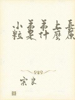 小弟弟上长小肉粒是什么原因