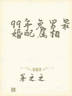 99年兔男最佳婚配属相