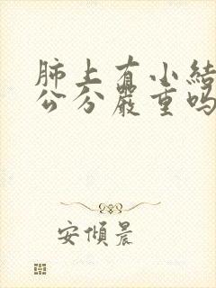 肺上有小结节2公分严重吗