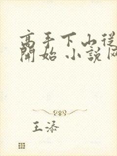 高手下山从退婚开始 小说网封面