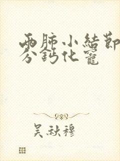 两肺小结节,部分钙化灶