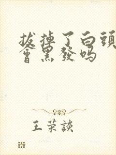 拔掉了白头发还会黑发吗