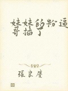 妹妹的粉逼被哥哥插了