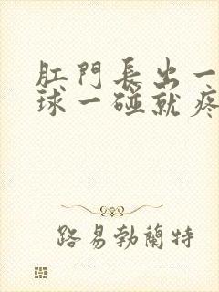 肛门长出一个肉球一碰就疼