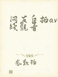 网友自拍av在线观看