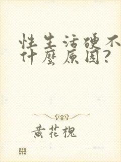 性生活硬不起是什么原因?