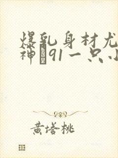 爆乳身材尤物女神�91一只小嘤嘤