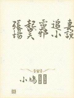 张起灵追妻火葬场吴邪小说封面