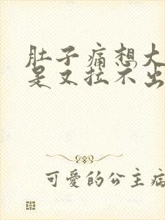 肚子痛想大便但是又拉不出来是什么原因