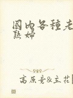 国内各种老熟女熟妇