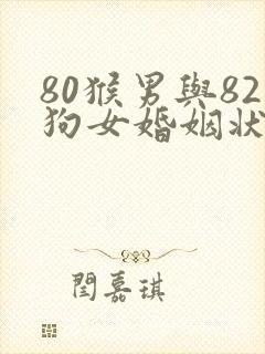 80猴男与82狗女婚姻状况封面
