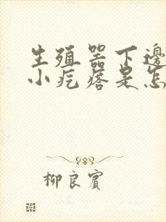 生殖器下边有个小疙瘩是怎么回事