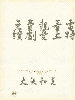 免费观看电视连续剧爱上特种兵封面