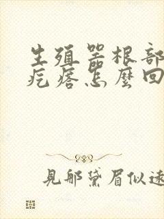 生殖器根部长硬疙瘩怎么回事封面