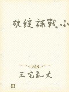 破绽谍战小说封面