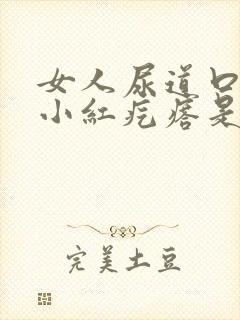 女人尿道口有个小红疙瘩是怎么回事