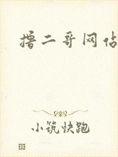 撸二哥网站封面