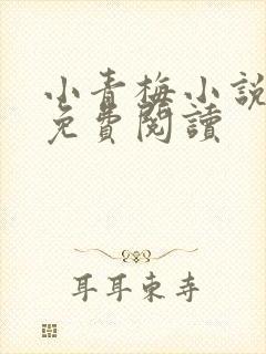 小青梅小说全文免费阅读
