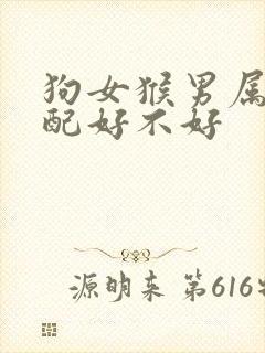 狗女猴男属相婚配好不好