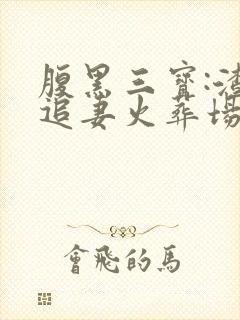 腹黑三宝:渣爹追妻火葬场小说封面