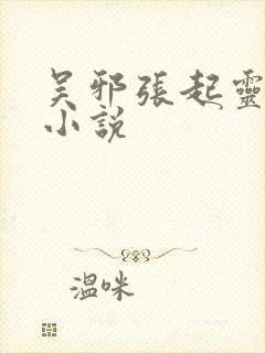 吴邪张起灵cp小说