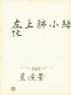 左上肺小结节钙化