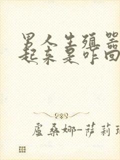 男人生殖器硬不起来是咋回事