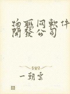 物联网软件平台开发公司