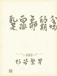 乳白色的分泌物是排卵期吗封面