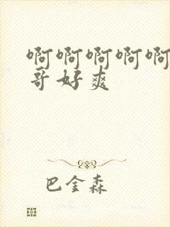 啊啊啊啊啊啊哥哥好爽封面