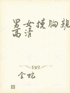 男女摸胸亲下面高清封面