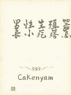 男性生殖器上面长小疙瘩怎么回事封面