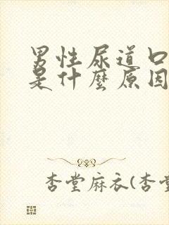 男性尿道口瘙痒是什么原因