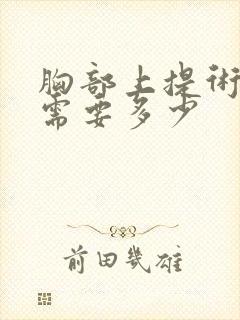 胸部上提术大概需要多少