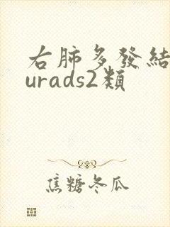 右肺多发结节lurads2类