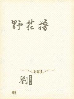 野花撸封面