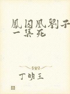 凤囚凰刘子业哪一集死封面