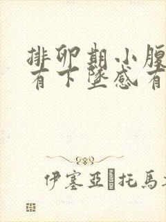 排卵期小腹胀痛有下坠感有大便感