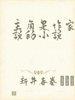 主角是作家写小说的小说