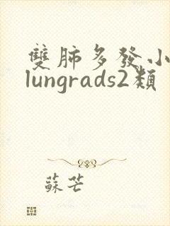 双肺多发小结节lungrads2类