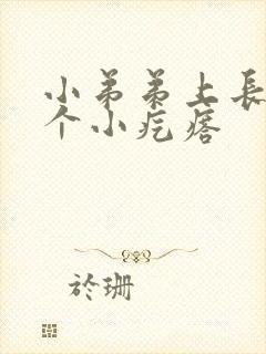 小弟弟上长了两个小疙瘩