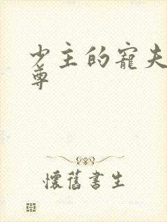 少主的宠夫(女尊