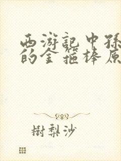 西游记中孙悟空的金箍棒原名叫什么封面